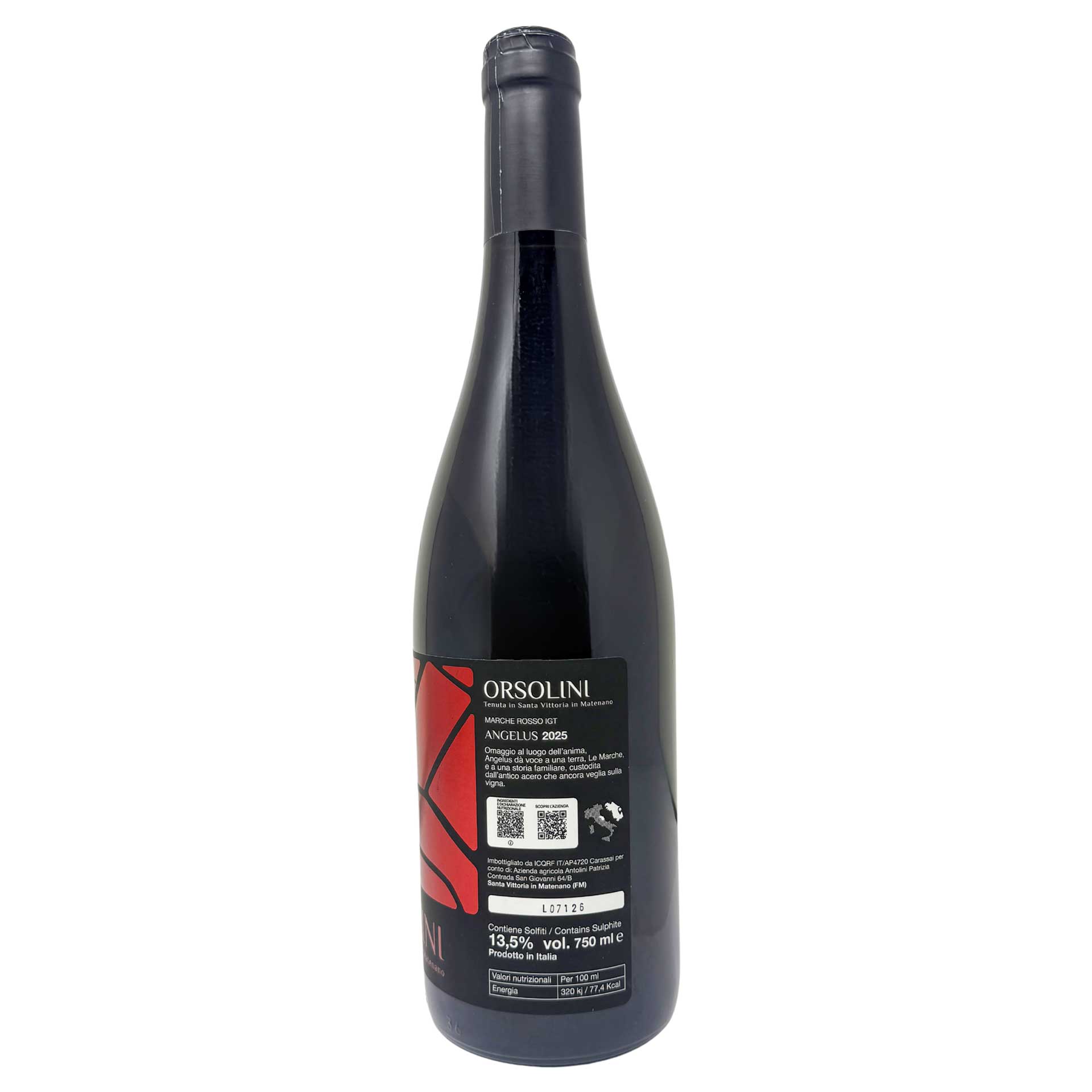Angelus – Marche Rosso IGT 2025 - immagine 2