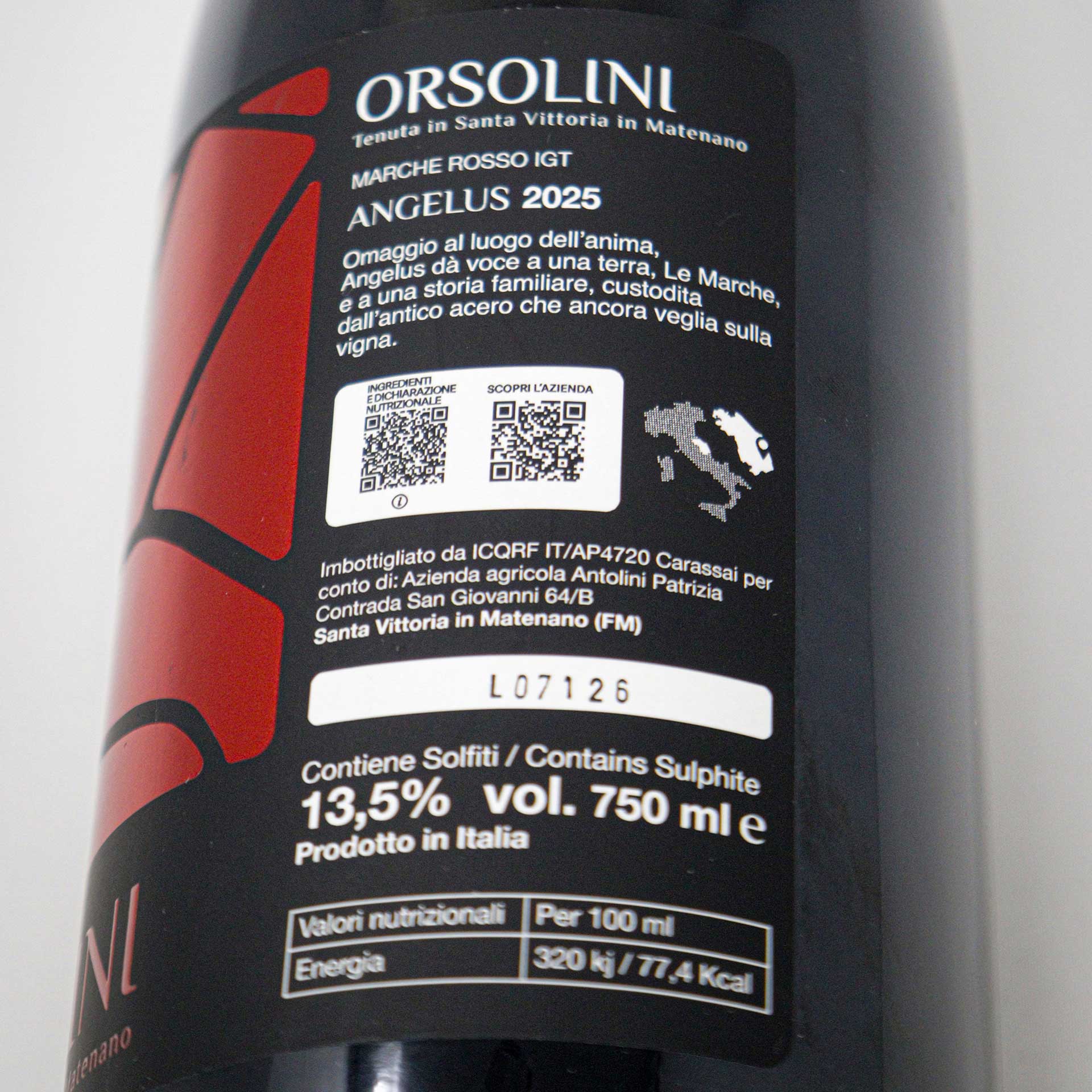 Angelus – Marche Rosso IGT 2025 - immagine 4